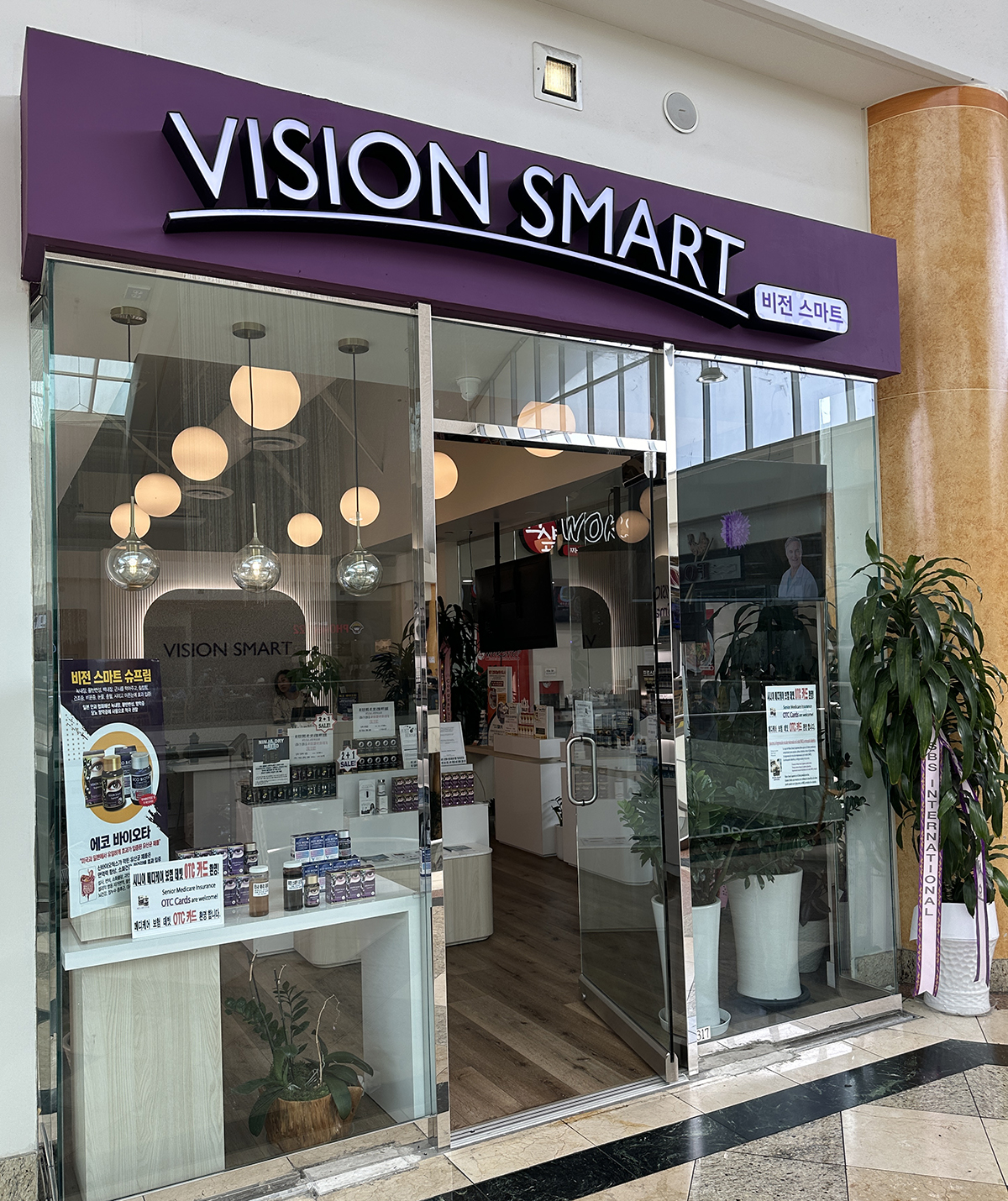 #317 Vision Smart